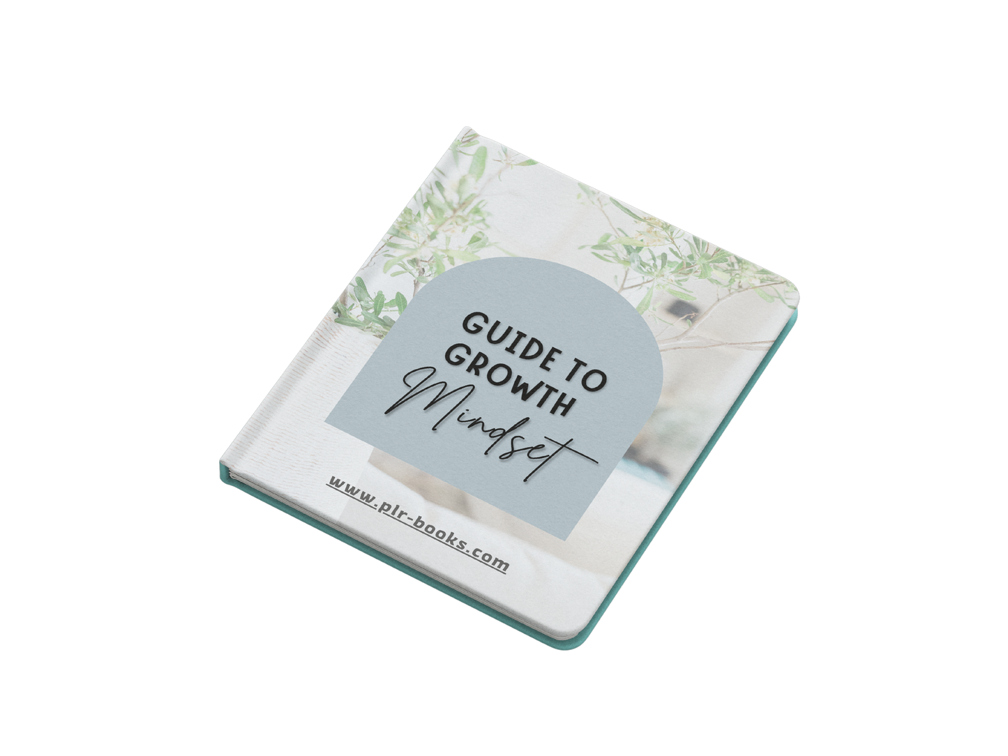Mindset Makeover: Simple Shifts for a Focused, Empowered You